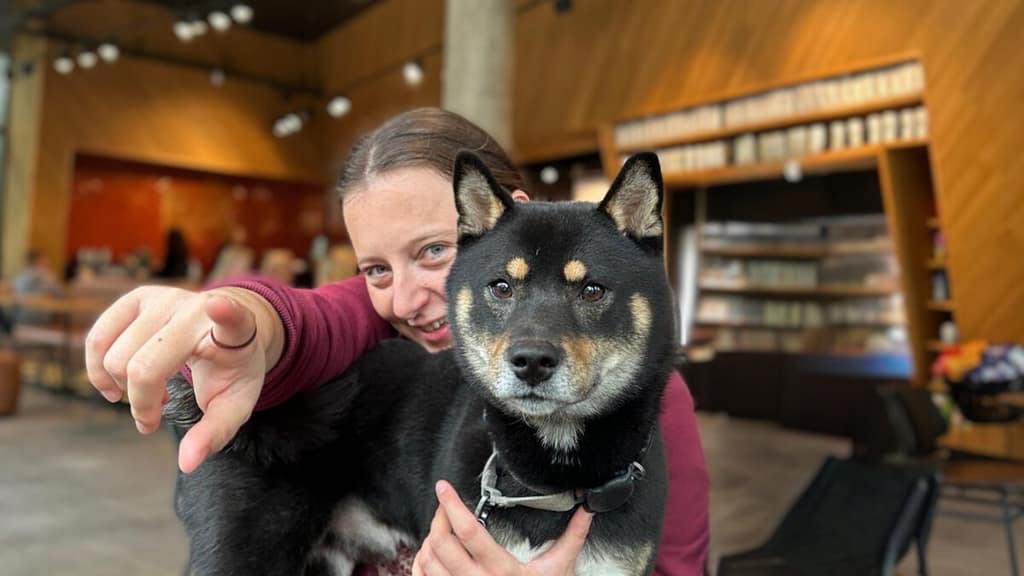 Coach et éducateur canin à Angers et Montreuil-sur-Maine